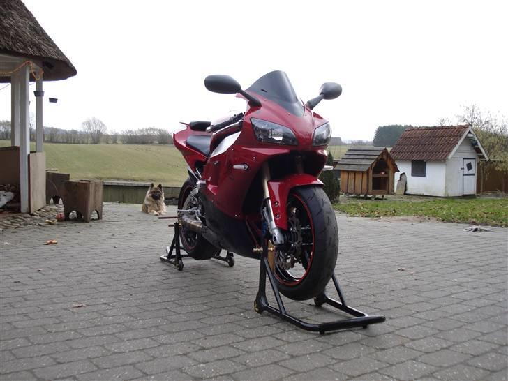 Yamaha R1 black / candy red billede 11