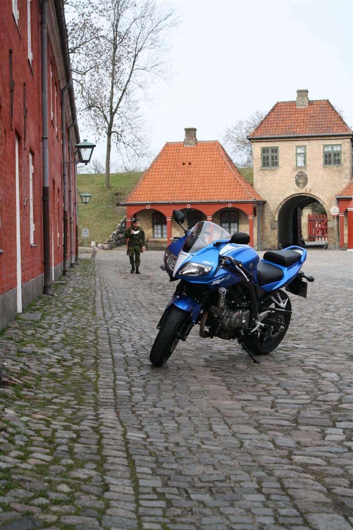 Suzuki SV 650S "Død" billede 11