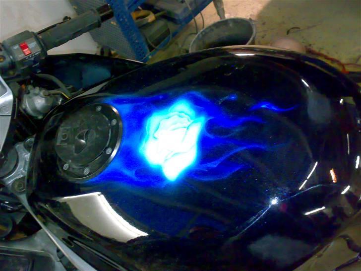 Kawasaki ZZR 600 - Rosen på tanken billede 5