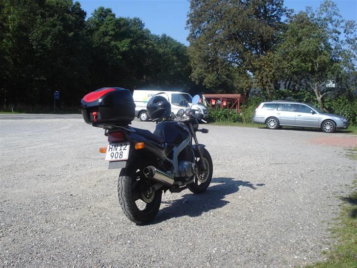 Suzuki Gs 500E billede 2