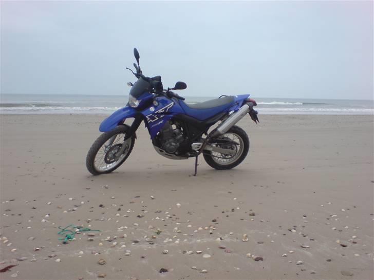 Yamaha XT 660R billede 11