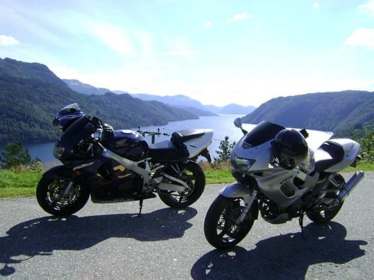 Honda CBR900RR Fireblade SOLGT - Norge 2010 billede 11