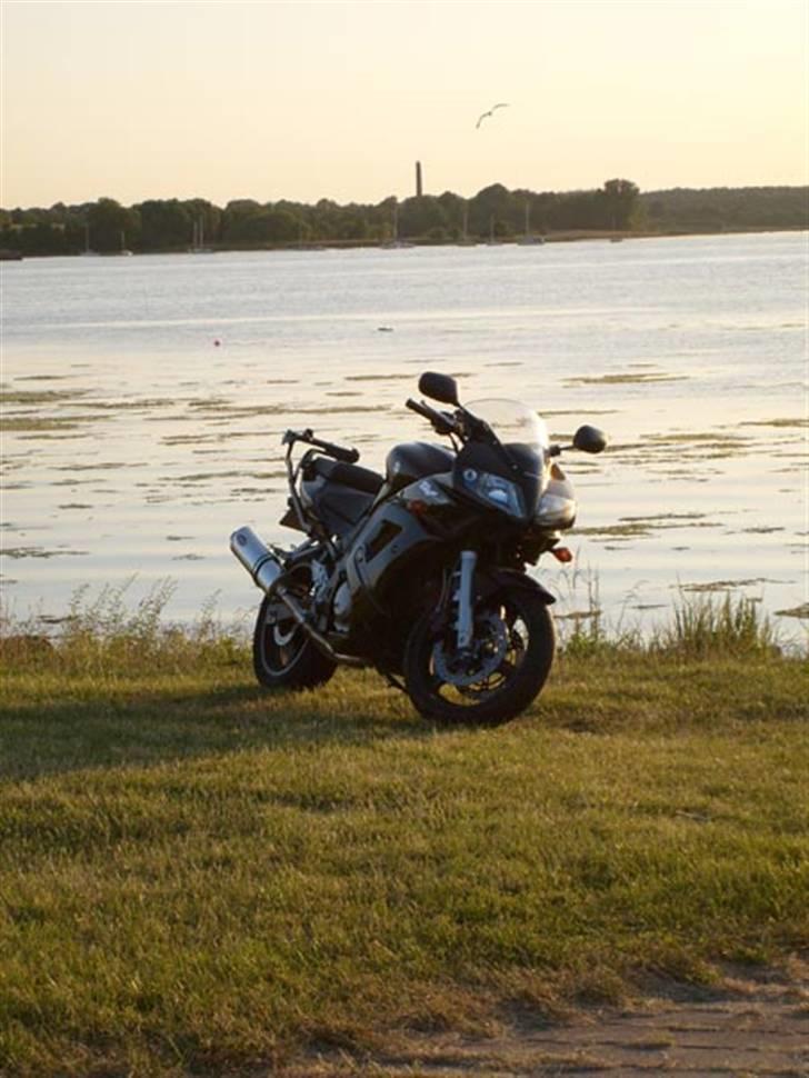 Suzuki SV650Sk5 billede 7