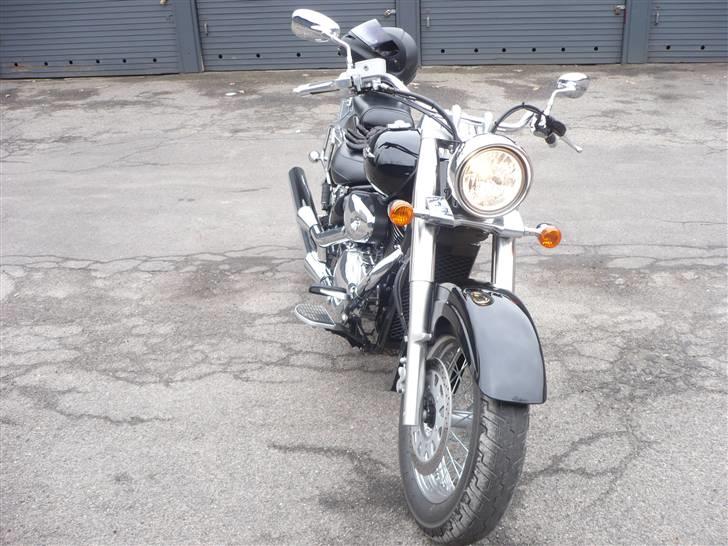 Suzuki vl 800  - Jeg elsker det billede 12