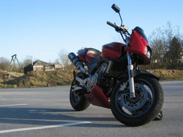 Honda Cb 600 Hornet billede 5