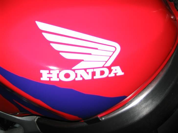 Honda 900 Fireblade  billede 6