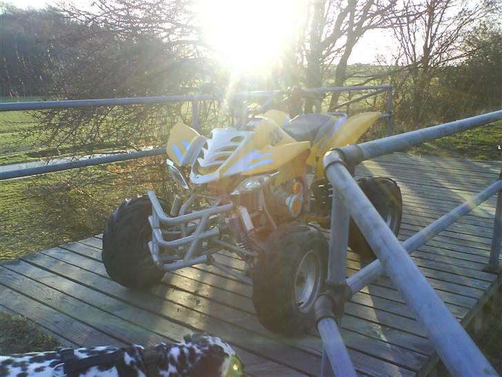 Honda kineser billede 19