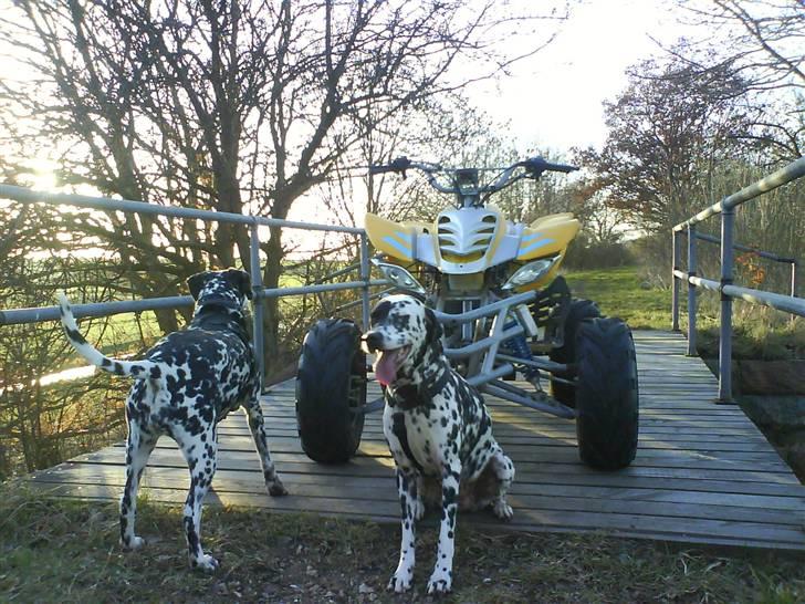 Honda kineser billede 20