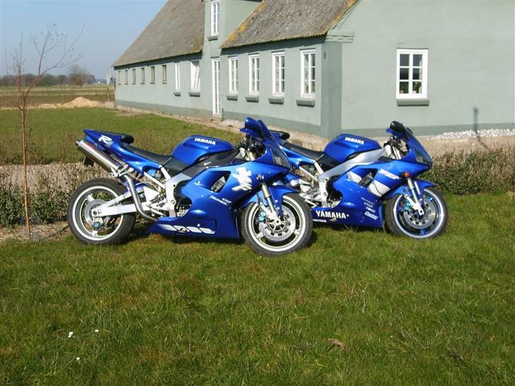 Yamaha yzfR1 billede 1