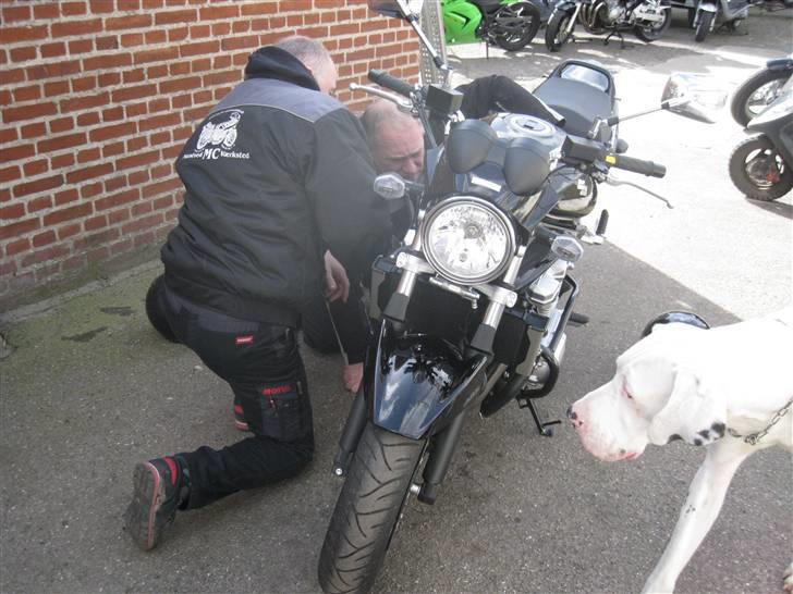 Suzuki Bandit 650 - STJÅLET:C billede 2