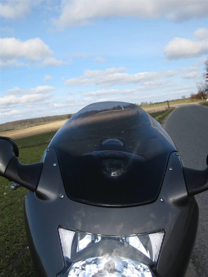 Honda CBR 1100 XX Blackbird billede 11