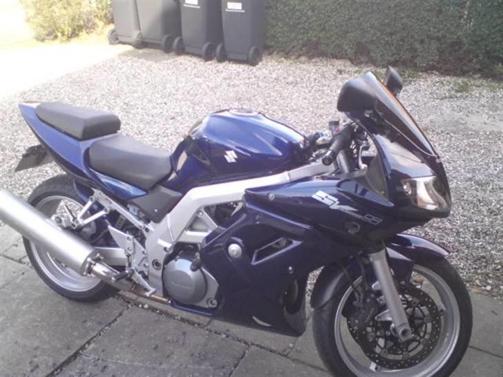 Suzuki sv 1000 s billede 3