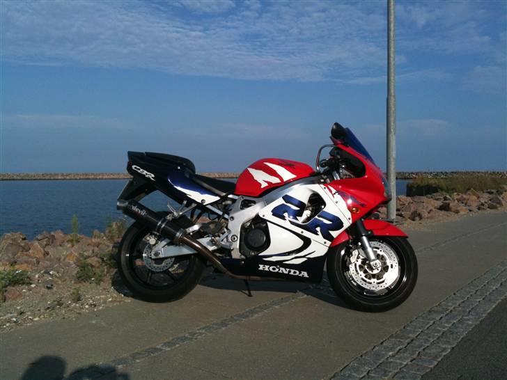 Honda CBR 900 RR Fireblade billede 1