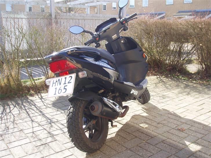 PGO T-REX 110 billede 2