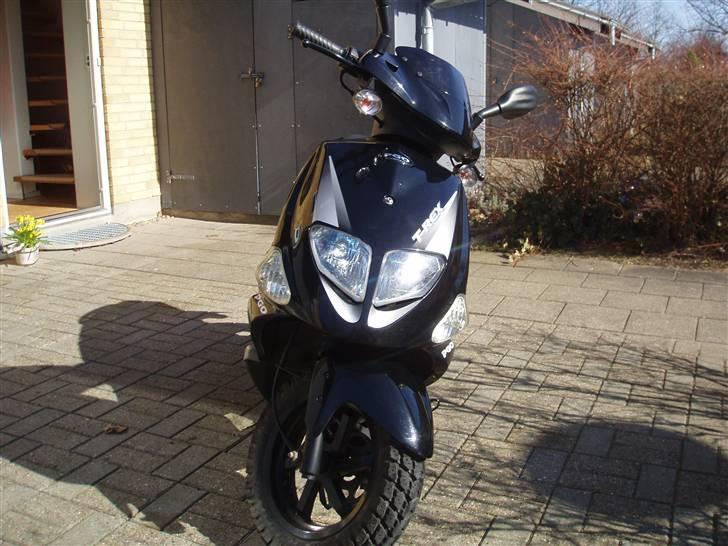 PGO T-REX 110 billede 3