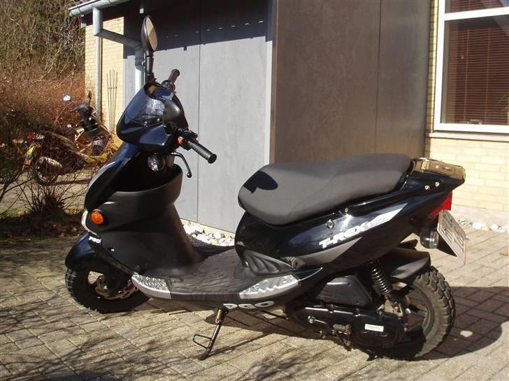 PGO T-REX 110 billede 4