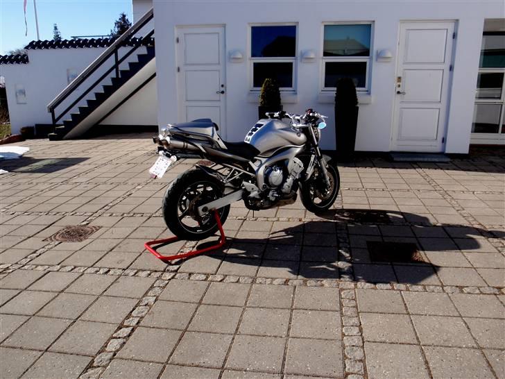 Yamaha FZ6-N billede 10