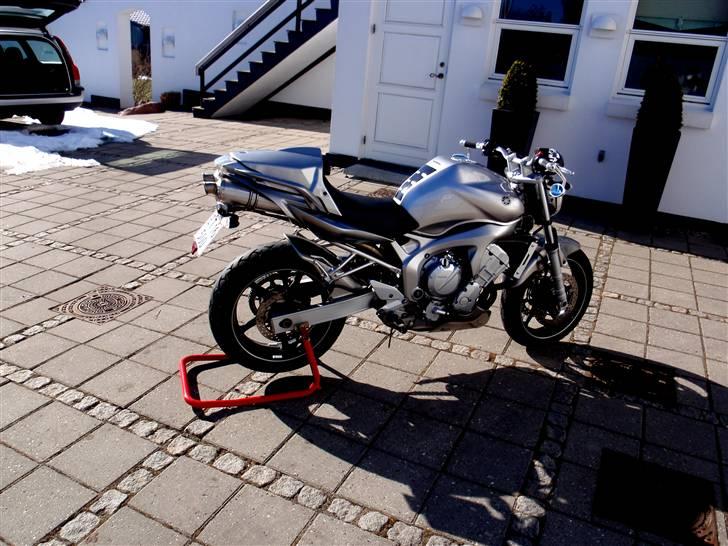 Yamaha FZ6-N billede 11