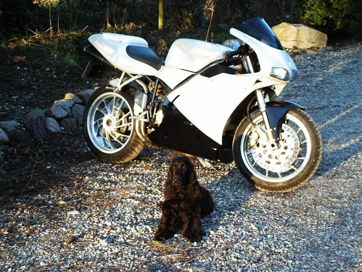 Ducati 748/916/955 billede 3