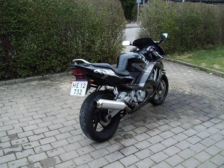 Honda Cbr 600 f3 billede 4
