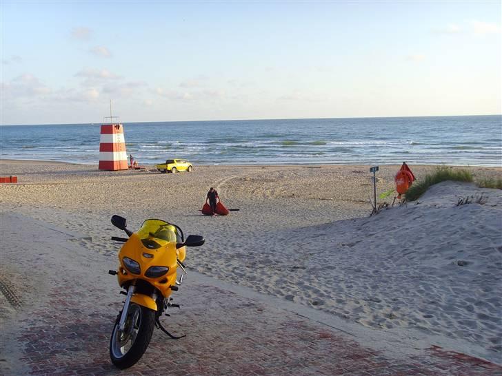 Suzuki SV 650 s billede 1