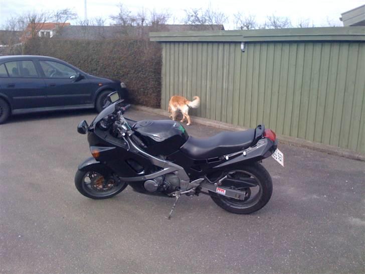 Kawasaki ZZR 600 billede 20