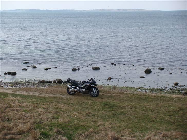 Suzuki gsx 750 f(solgt) billede 13