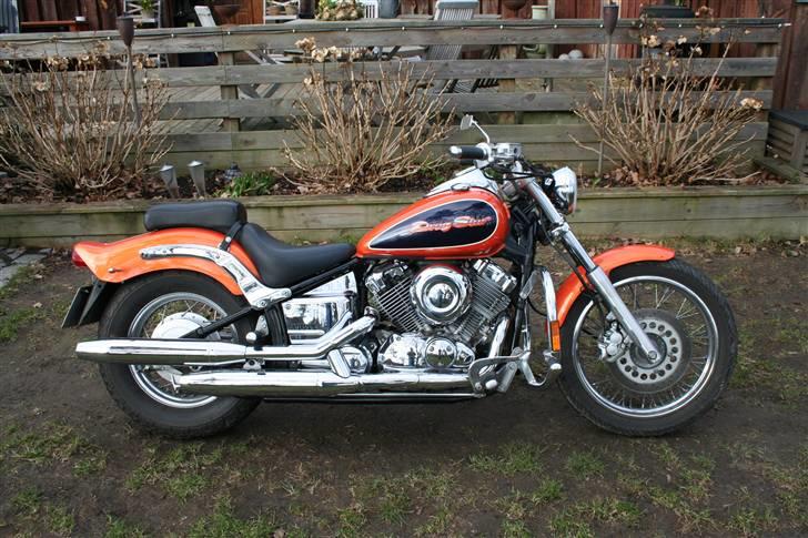 Yamaha xvs dragstar billede 1