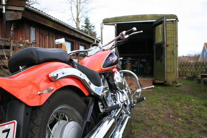 Yamaha xvs dragstar billede 4