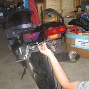 Honda CBR 600