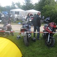 Honda CBR 600