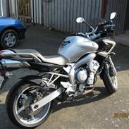 Yamaha FZ6s