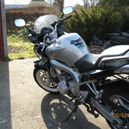 Yamaha FZ6s