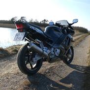 Honda CBR 600 F3