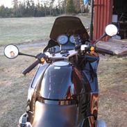 BMW R1100 RS SOLGT