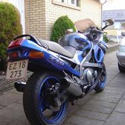 Kawasaki ZZR-600