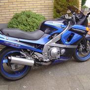 Kawasaki ZZR-600