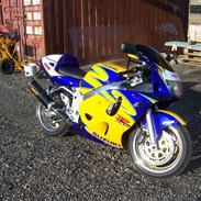 Suzuki gsx-r 600 Corona SOLGT