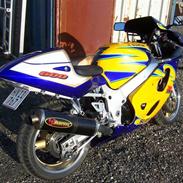 Suzuki gsx-r 600 Corona SOLGT