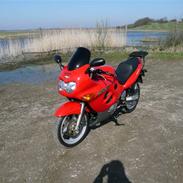 Suzuki GSX600F