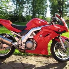 Suzuki SV 1000 S - SOLGT