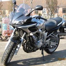 Yamaha FZ6s