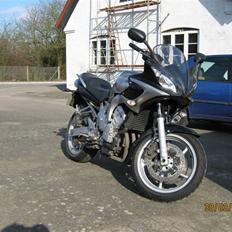 Yamaha FZ6s