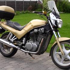 Suzuki vx 800 ( SOLGT )