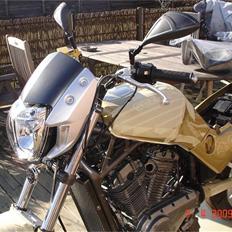 Suzuki vx 800 ( SOLGT )