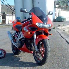 Suzuki TL1000S (SOLGT)