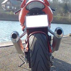 Suzuki TL1000S (SOLGT)