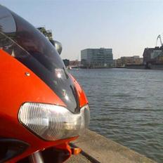 Suzuki TL1000S (SOLGT)