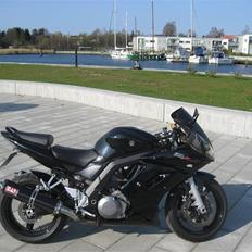 Suzuki SV1000 (Solgt)