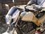 Suzuki vx 800 ( SOLGT ) - Klar til at renoverede calibre monteres, - så mangler kun potterne..  mums..